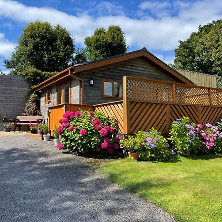 Swansea Log Cabin Pontardawe Bagian luar foto