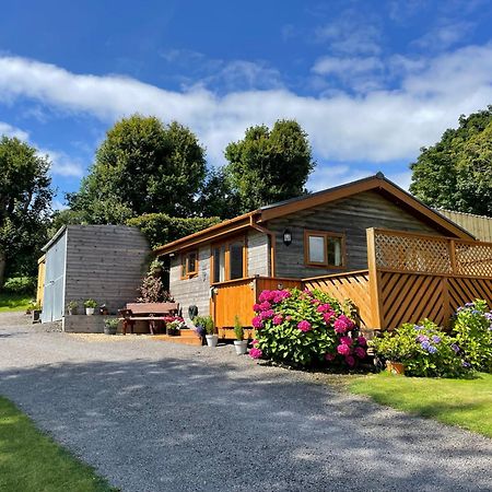 Swansea Log Cabin Pontardawe Bagian luar foto