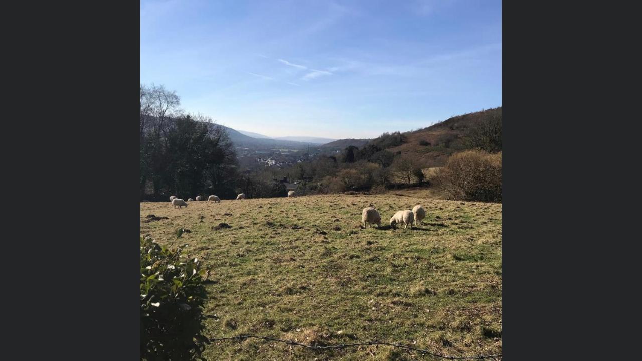 Swansea Log Cabin Pontardawe Bagian luar foto