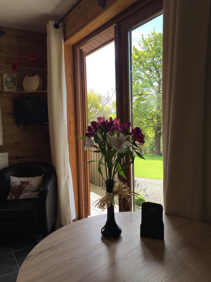 Swansea Log Cabin Pontardawe Bagian luar foto