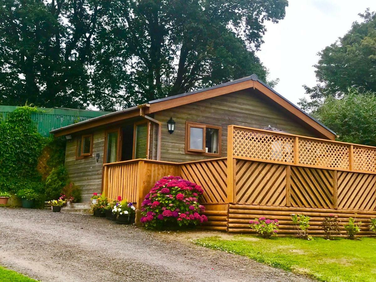 Swansea Log Cabin Pontardawe Bagian luar foto